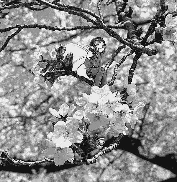 A Nocturne-era pixie sitting high in a cherry blossom tree in full bloom.