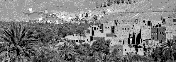 A Moroccan village on a desert landscape surrounded by palm trees on the side of a cliff.